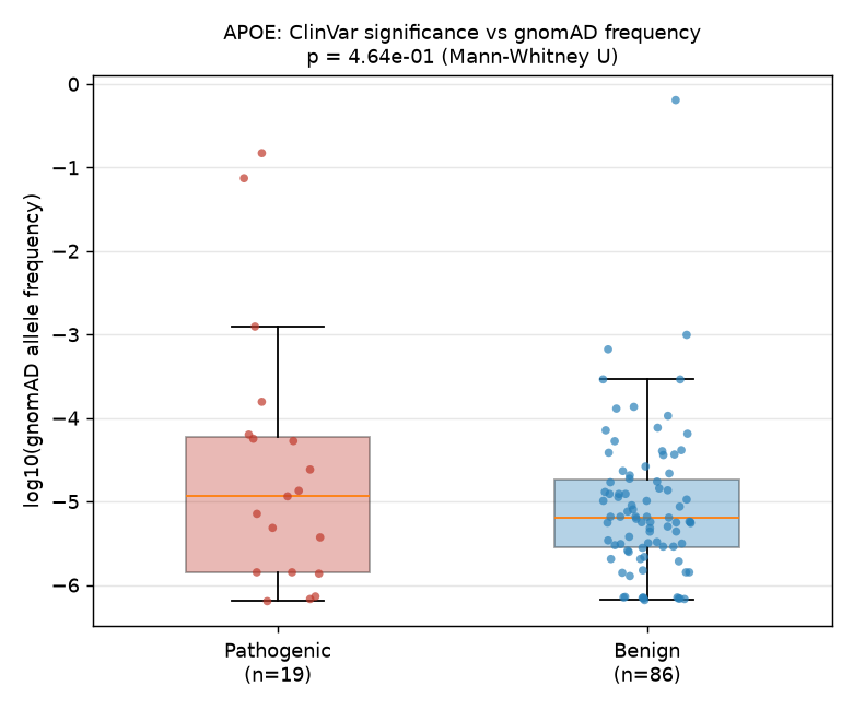 Computed figure for APOE ClinVar Pathogenic vs Benign Variants: Population Allele Frequency Comparison via gnomAD