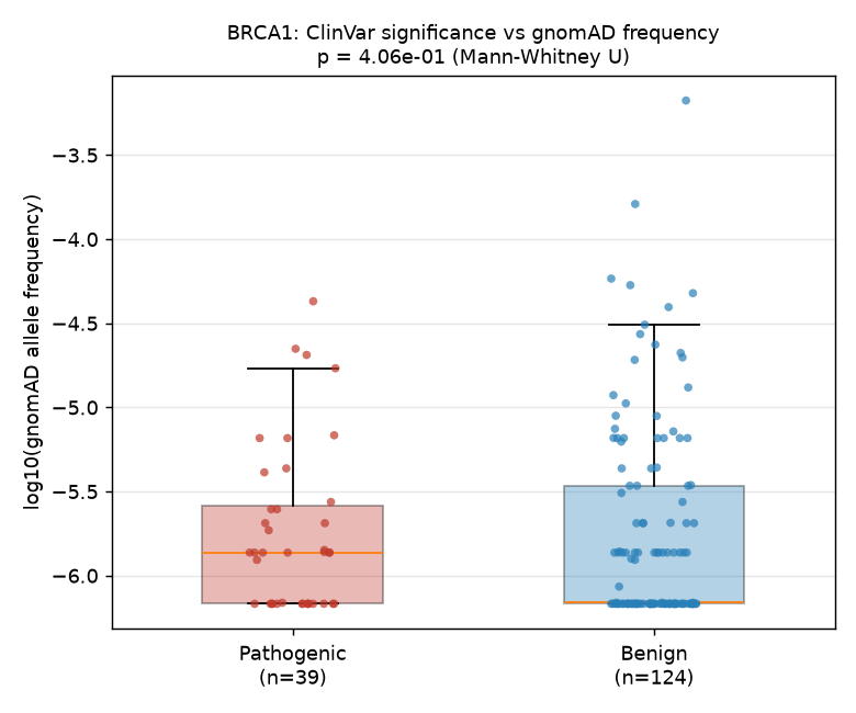 Computed figure for Population Frequency of ClinVar Pathogenic vs Benign Variants in BRCA1: A Null Result from gnomAD