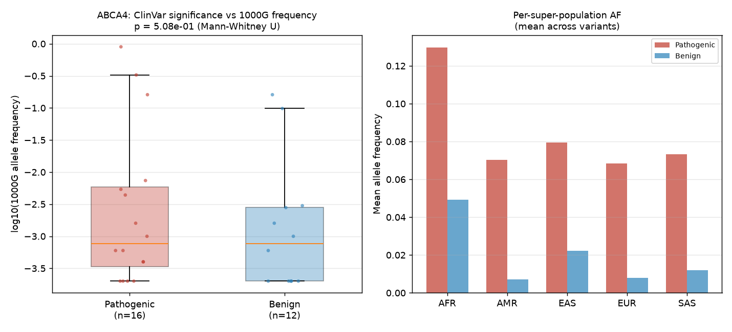 Computed figure for ABCA4 ClinVar Pathogenic vs Benign Variant Frequencies in 1000 Genomes