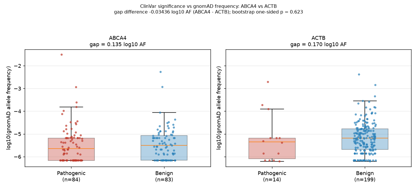 Computed figure for Is the ClinVar pathogenic-vs-benign allele-frequency gap larger for ABCA4 than for a housekeeping gene?