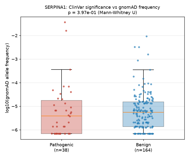 Computed figure for Do ClinVar Pathogenic Variants in SERPINA1 Sit at Lower gnomAD Population Frequencies Than Benign Variants?